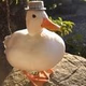 Logo de Quack FM