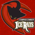 Logo de SportsJuice - Corpus Christi IceRays