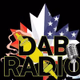 Logo de DAB RADIO