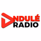 Logo de Ndulé Radio