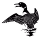 CKYZ 90.3FM - CKZY-FM logo