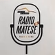 Radio Matese logo