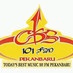 Logo de CBS 101 FM Pekanbaru