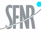 Logo de SFN Radio