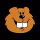 106.3 The Beaver - WBVR-FM logo