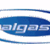Logo de Auralgasms Radio