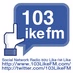 Logo de 103 Like FM