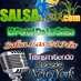 Logo de Radio Salsadecali.com