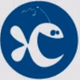 Logo de Good News Radio FM