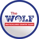 The WOLF - Nordhessen logo