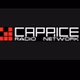 Radio Caprice - Modern Classical logo