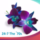 Logo de 24/7 Niche Radio - 24-7 The '70s
