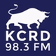Bellowing Ox Radio - W220EQ logo