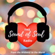 Logo de WTSS -- The Sound of Soul