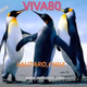 Logo de VIVA80
