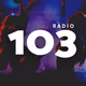 Logo de 103 Radio