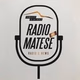 Logo de Radio Matese