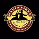 Radio Virsa logo