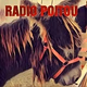 Logo de Radio Poitou