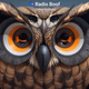 Logo de Radio Boof - Featured Persian