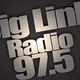 Logo de Biglink Radio