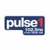Logo de Pulse 1
