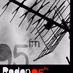 Logo de Rodon 95 FM