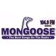 104.9 The Mongoose - WMNG logo