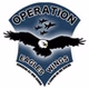 Operation Eagles Wings - Light America Blue logo