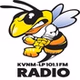 KVNM 101.1 FM - KVNM-LP logo