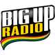 Logo de BigUpRadio - Ska