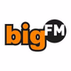 Logo de bigFM - I Love The Beach