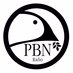 Praise Broadcast Network logo