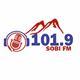 Logo de Sobi FM 101.9