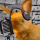 Logo de Radio Liebre Jue