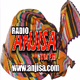 Logo de Anjisa 101.3 FM