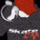 Logo de SkateFM - Various DJs Mix