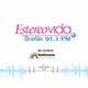 Estéreo VIDA Ocotlán 91.1 FM  - XHAN logo