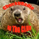 Logo de ChuckU At The CLUB