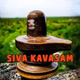 Logo de Siva Kavasam