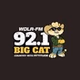 WDLA 92.1 Big Cat - WDLA-FM logo