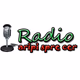 Logo de Radio Aripi Spre Cer - Instrumental