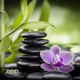 Logo de BOX Radio - ZEN Radio