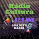 Logo de Rádio Cultura FM 87.9