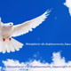 Logo de Radio Jesucristo Vive