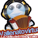 Logo de Radio Vallenatovirtual.com