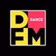DFM Bryansk logo