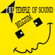 Logo de The Temple Of Sound Belgium