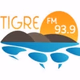 Logo de Tigre FM 93.9