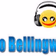 Logo de Radio Bellingwolde